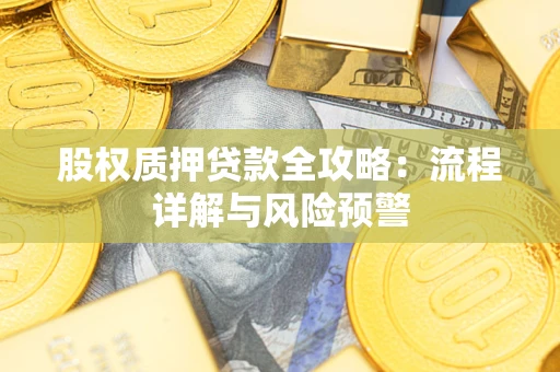 武汉股权质押贷款全攻略：流程详解与风险预警