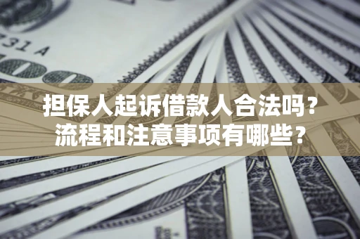 武汉担保人起诉借款人合法吗？流程和注意事项有哪些？