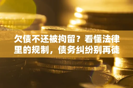 武汉欠债不还被拘留？看懂法律里的规制，债务纠纷别再徒劳奔波