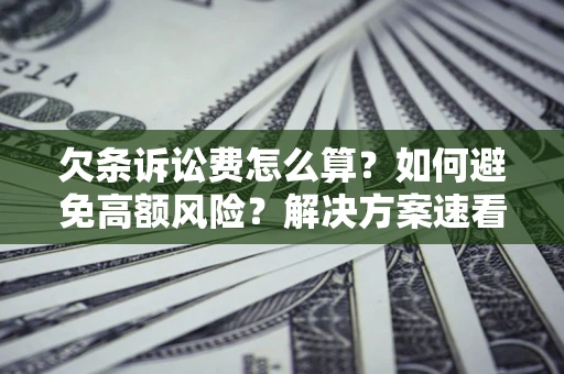 武汉欠条诉讼费怎么算？如何避免高额风险？解决方案速看！