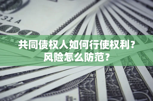 武汉共同债权人如何行使权利？风险怎么防范？