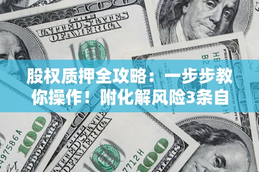 武汉股权质押全攻略：一步步教你操作！附化解风险3条自救法则