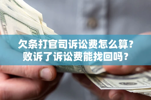武汉欠条打官司诉讼费怎么算？败诉了诉讼费能找回吗？