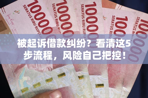 武汉被起诉借款纠纷？看清这5步流程，风险自己把控！